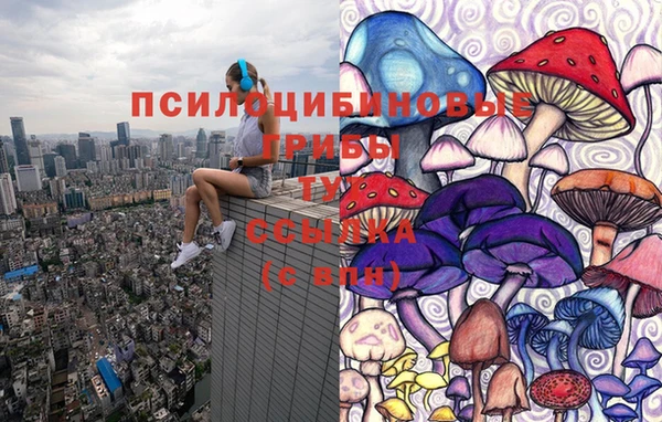 гидра Михайловск