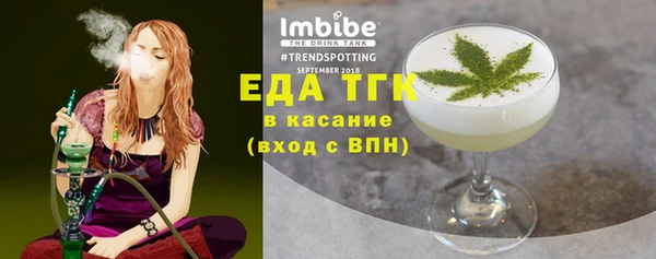 стаф Медногорск