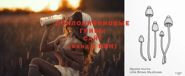 хмурый Михайлов