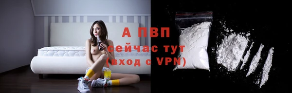 ГАЛЛЮЦИНОГЕННЫЕ ГРИБЫ Магас