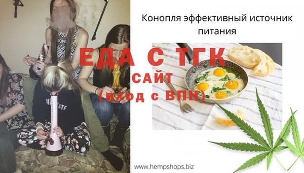 стаф Медногорск