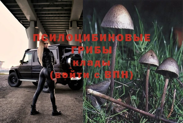 хмурый Михайлов