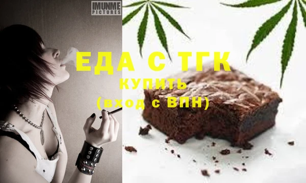 стаф Медногорск