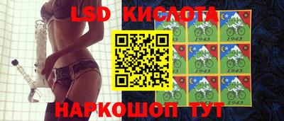 стафф Бийск